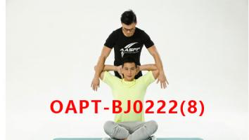 OAPT-BJ0222(8）